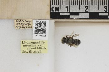 Media type: image;   Entomology 786101 Aspect: Labels